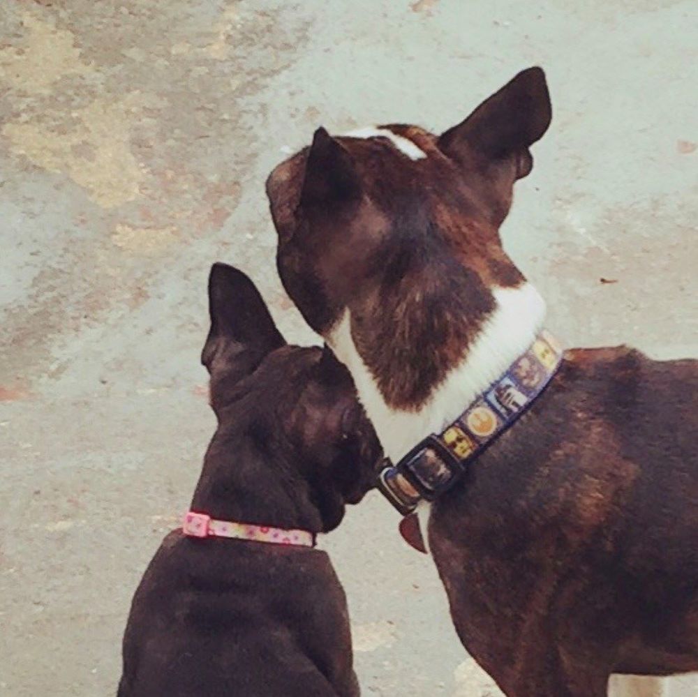 Meet your Posher, Charlene